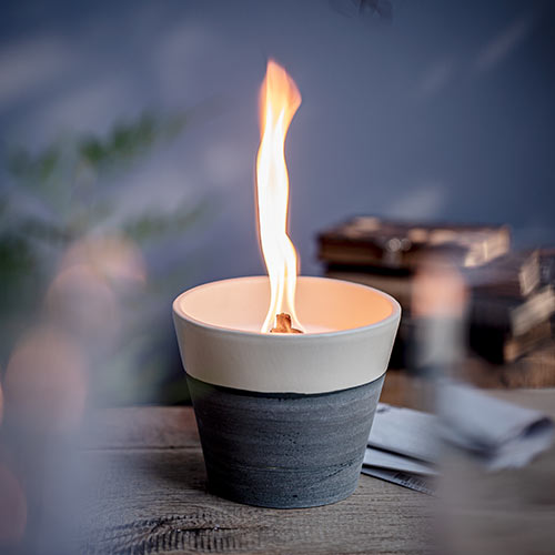 Waschbär Adventszeit Gewinnspiel