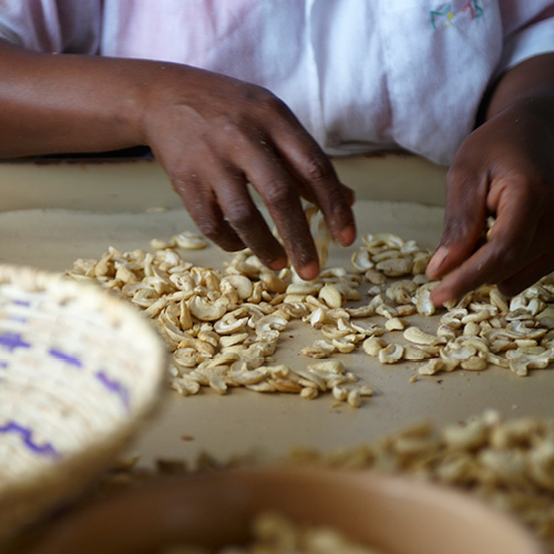 gebana fair trade cashewmus